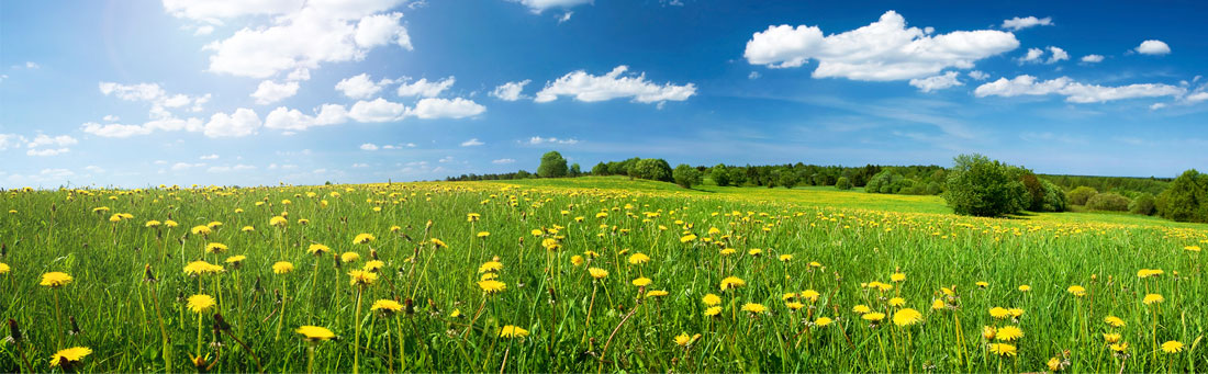 Banner photo showing rural field